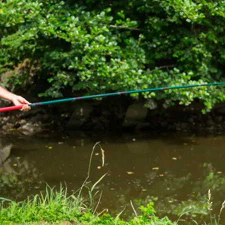 Accueillant Animaux - 6 Pers. - Api-1-52-2977 Camping *